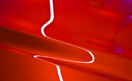 003 - die weisse linie